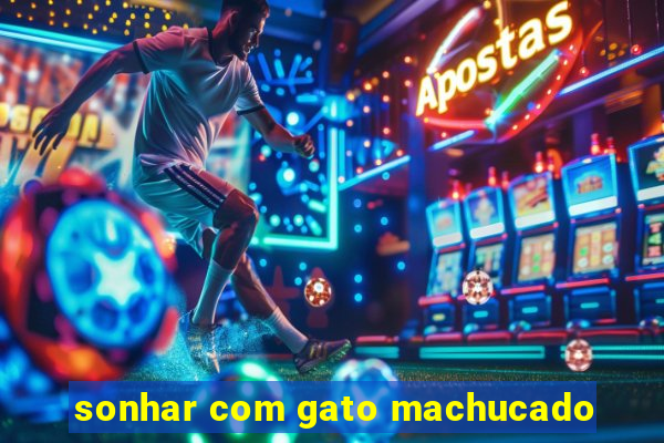 sonhar com gato machucado